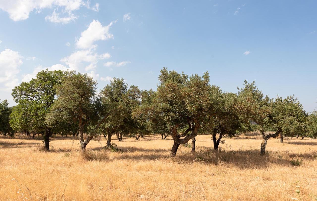 Testone Agroturismo