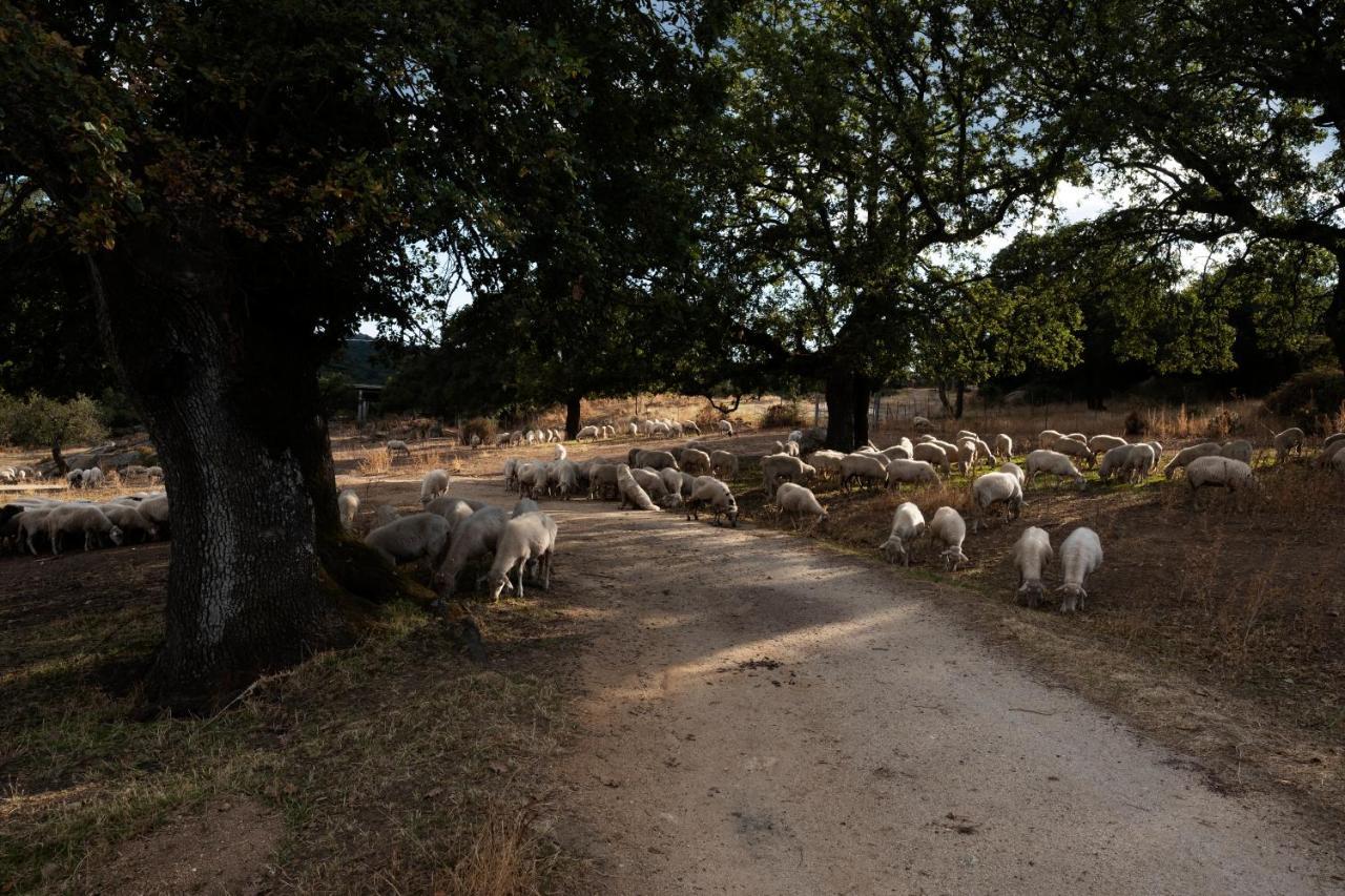 Testone Agroturismo Benetutti