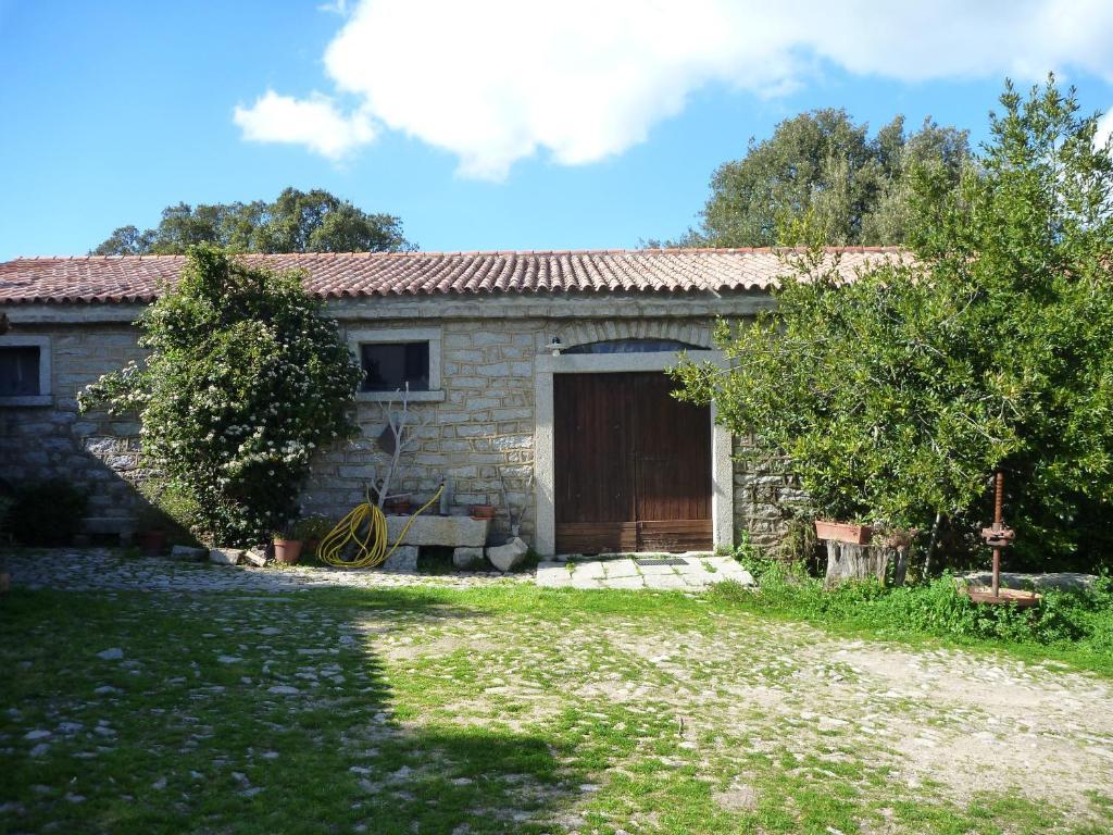 Testone * Benetutti